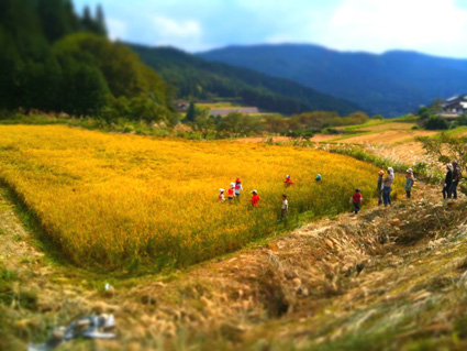 2011092501.jpg
