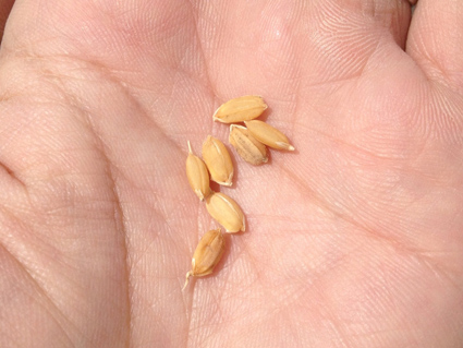 20120401.jpg