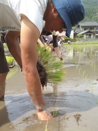 20120603.jpg