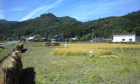 CA3A0226.jpg