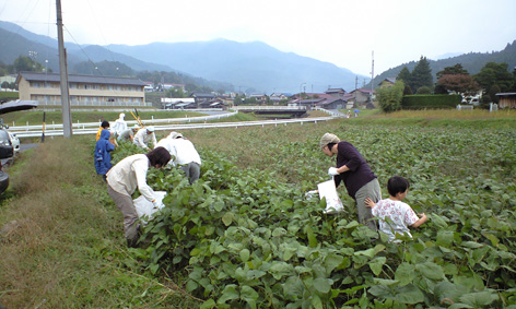 CA3A0258.jpg