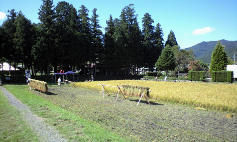 CA3A0503.jpg