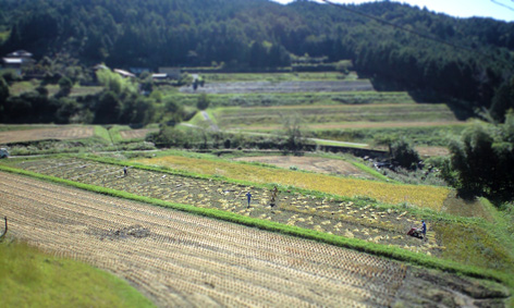 CA3A0507.jpg