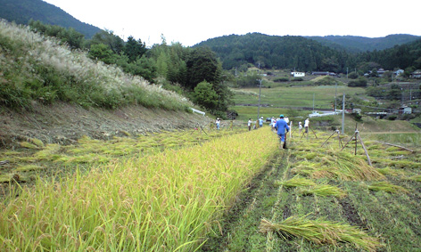 CA3A0508.jpg