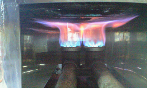 CA3A0711.jpg