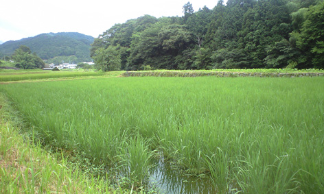 CA3A1070.jpg