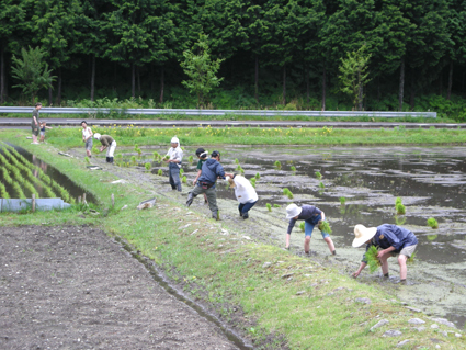 DSCN0040.jpg