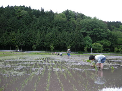 DSCN0067.jpg