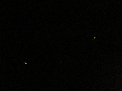 DSCN0251.jpg