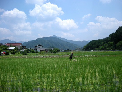 DSCN0269.jpg