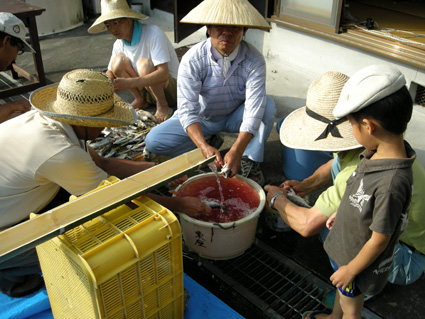 DSCN0719.jpg