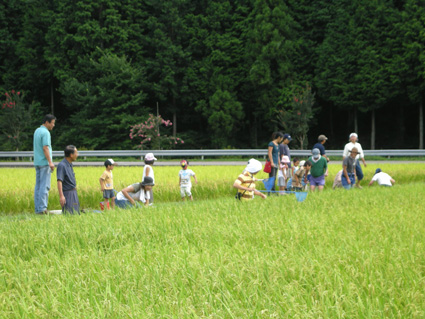 DSCN0904.jpg