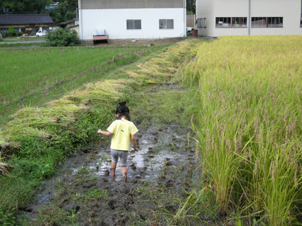 DSCN1203.jpg