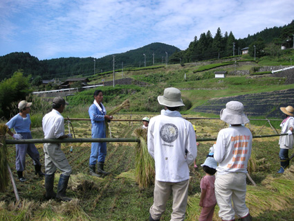 DSCN1251.jpg