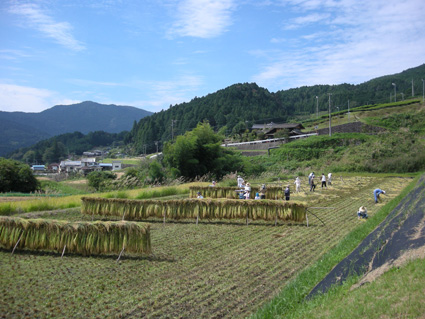 DSCN1253.jpg