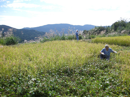 DSCN1258.jpg