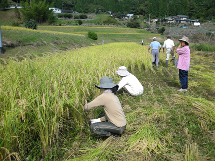 DSCN1265.jpg