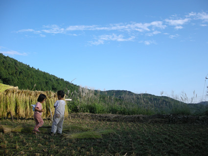 DSCN1284.jpg