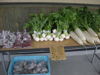 DSCN1534.jpg