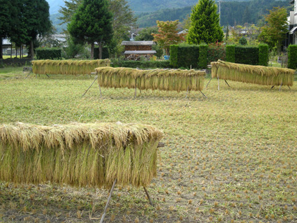 DSCN2599.jpg