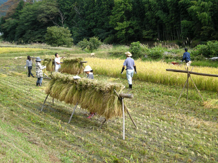DSCN2610.jpg