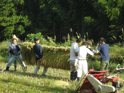 DSCN2614.jpg
