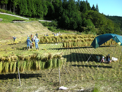 DSCN2619.jpg