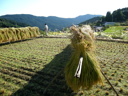 DSCN2622.jpg