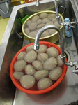 DSCN3137.jpg