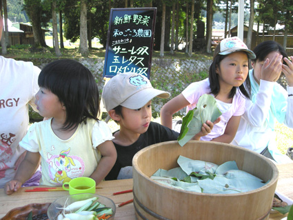 DSCN3455.jpg