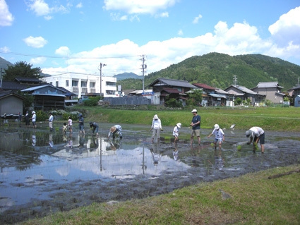 DSCN3471.jpg