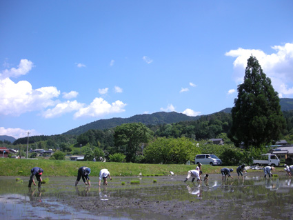DSCN3483.jpg