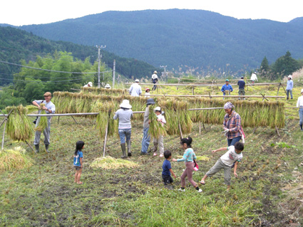 DSCN3958.jpg