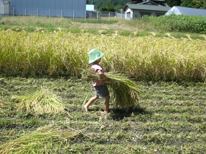 DSCN5105.jpg