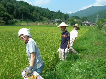DSCN5137.jpg