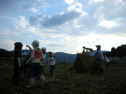 DSCN5180.jpg