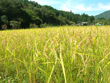 DSCN5349.jpg