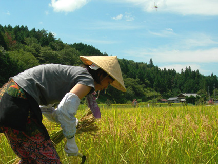 DSCN5378.jpg