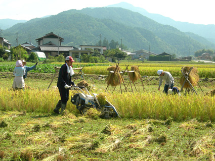 DSCN5428.jpg