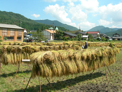 DSCN5454.jpg