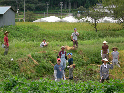 DSCN5555.jpg