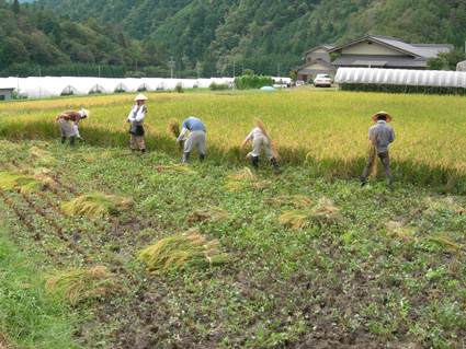 DSCN5567.jpg