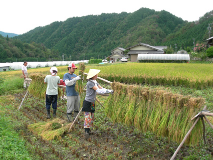 DSCN5579.jpg