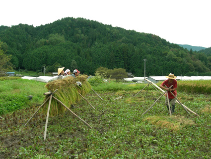 DSCN5584.jpg