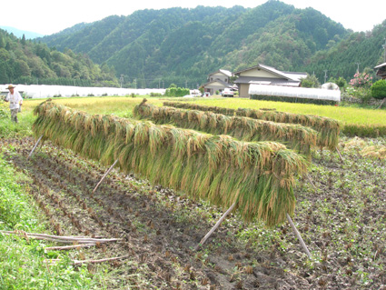 DSCN5593.jpg