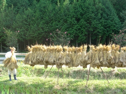 DSCN5700.jpg