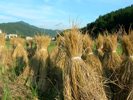 DSCN5705.jpg