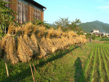 DSCN5708.jpg