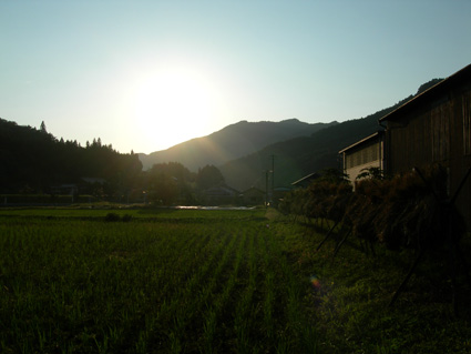 DSCN5709.jpg