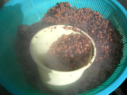 DSCN6435.jpg